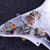 Used Fender LOADED STRAT GUARD 80S AM STD Guitar Pickup 41140-S000140646 View 3
