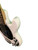 Used Sterling by Ernie Ball RAY 34 Bass Guitar White 4-String 41136-S000158054 View 13