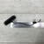 Used Dimarzio DP117BK Strat Guitar Pickup 40051-S000120132 View 3