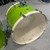 Used DIXON SPARK 5PC Drum Shells - KEY LIME SPARKLE 41106-S000103472 View 4