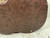 Used Washburn ACOUSTIC MOLDED HARDSHELL CASE Guitar Case 40012-S000317753 View 8