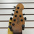 Used - Sterling by Ernie Ball CUTLASS 7 JASON RICHARDSON AS-IS Electric Guitar 7-String 40087-S000243021 View 5