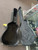 Used Washburn ACOUSTIC HARD CASE Guitar Case 41137-S000108314 View 2
