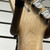 Used - Jackson DINKY JS10 AS-IS Electric Guitar  40087-S000243090 View 14