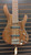Used Ibanez ERGODYNE EDB550 Bass Guitar Wood 5-String 41116-S000053977 View 2