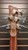 Used Ibanez ERGODYNE EDB550 Bass Guitar Wood 5-String 41116-S000053977 View 4