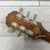 Used Epiphone Les Paul Standard Florentine Pro Semi-Hollowbody Electric Guitar Honey Burst 40051-S000120210 View 10