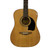 Used Washburn LYON LG1PAK Laminate Top Acoustic Guitar Natural 40009-S000317684 View 3