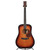Used Breedlove REVIVAL DM DELUXE Solid Top Acoustic Guitar Sunburst View 3