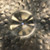 Used Zildjian K CUSTOM SPECIAL DRY RIDE 21 Ride Cymbal 21" 41125-S000042943 View 4