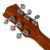 Used Luna Heartsong Parlor Acoustic Guitar 40090-S000085826 View 18