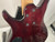 Used Tobias TOBY Bass Guitar Sunburst 5-String 40012-S000318226 View 10