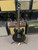 Used Epiphone DOT EB Semi-Hollow Electric Guitar Black 6-String 41137-S000108397 View 3