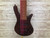 Used Spector LG6CLSNAT BASS Guitar 6-String 41138-S000101194 View 1