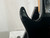 Used Washburn BANTAM BASS Bass Guitar Black 4-String 40012-S000318307 View 17