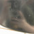 Used - Gibson SG FUTURE Electric Guitar  40087-S000243393 View 4
