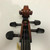 Used Eastman 4/4 SIGNATURE SERIES Cello 4/4 Size 41128-S000115999 View 3