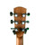 Used Alvarez RD260CESB Acoustic Guitar Sunburst 41136-S000158375 View 6