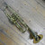 Used Bach BACH TR-300 Trumpet 40105-S000077848 View 4