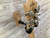 Used D'Angelico DELUXE BEDFORD SH Semi-Hollow Electric Guitar 41138-S000101270 View 20