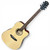 Used Carlo Robelli C600 Solid Top Acoustic Guitar Natural 41130-S000012996 View 1