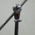 Used Griffin   Boom Stand 40042-S000277829 View 3