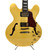 Used Morgan Monroe Semi-Hollow Electric Guitar View 1