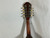 Used Martin NAZARETH PA BOWL BACK 1918 MANDOLIN Vintage Mandolin 40012-S000318825 View 16