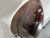 Used Martin NAZARETH PA BOWL BACK 1918 MANDOLIN Vintage Mandolin 40012-S000318825 View 19