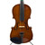 Used Palatino VN-350 4/4 Violin 41119-S000039718 View 4