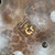 Used Chemistry Cymbals Acid Ozone Splash Cymbal - 12-inch 40112-S000185054 View 3