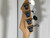 Used Peavey T-20 Vintage Bass Guitar Sunburst 4-String 40107-S000159186 View 5