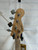 Used UNBRANDED VIOLIN CASE HOLDS 4 BOWS Band Instrument Case 41132-S000014177 View 5
