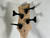 Used Dean EDGE 4 STRING P Type Bass Guitar Amber 4-String 40012-S000318933 View 11