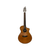 Breedlove Acoustic Guitars View 2