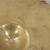 Used Sabian AA Series Splash Cymbal - 12-inch 40112-S000185245 View 8