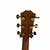 Used Taylor 214CE PLUS LTD 50TH ANNIVERSARY Solid Top Acoustic Guitar Natural 41120-S000039713 View 5