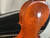 Used Glaesel V130E4 4/4 VIOLIN Violin 4/4 Size 40012-S000319188 View 16