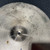 Used ZILDJIAN MEDIUM RIDE 16 INCH Ride Cymbal 41106-S000104491 View 8