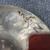Used ZILDJIAN K 10 INCH Splash Cymbal 41106-S000104493 View 3