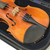 Used Eastman Halo 1/4 Violin Outfit 40051-S000120565 View 2