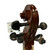 Used Amati ARTISAN 1/2 CELLO Cello 1/2 Size 40009-S000318538 View 10