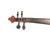 Used FRANZ WERNER MODEL 800 VIOLIN Violin 4/4 Size 41134-S000010319 View 3