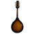 Used Epiphone MM-30E Mandolin 41120-S000039752 View 5