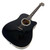 Used Esteban Acoustic-Electric Guitar 40090-S000086235 View 2