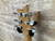 Used Paul Reed Smith - PRS CE24  Electric Guitar 41138-S000101526 View 14