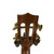 Used Kala KA-ASCP-T Ukulele Wood 41120-S000039810 View 4