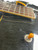 Used Gibson 1956 ES-225TD Vintage Electric Guitar Sunburst 6-String 41134-S000010339 View 10