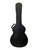 Used Taylor Grand Auditorium Ga Hard Guitar Case 41117-S000057675 View 1