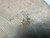 Used Ludwig PAISTE 14IN CRASH Crash Cymbal 14" 40012-S000319462 View 6